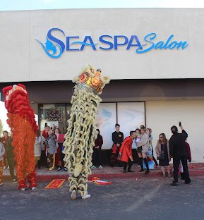 Sea Spa and Salon